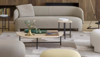 Ligne Roset