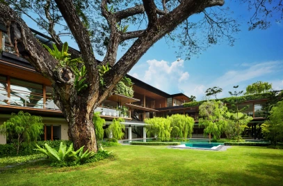 Rain Tree House